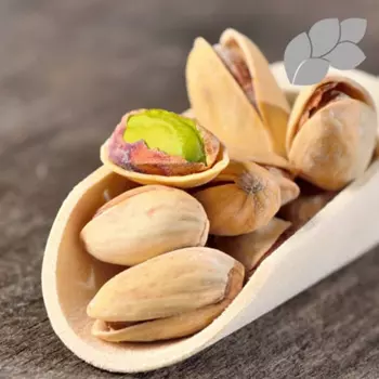 피스타치오(Pistachio)