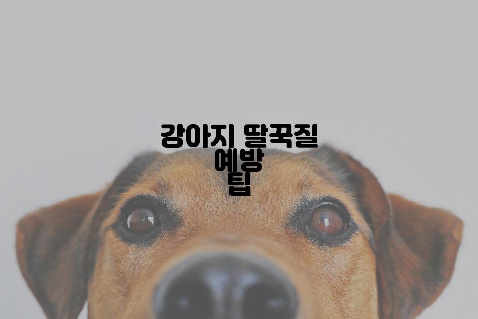 강아지 딸꾹질 예방 팁