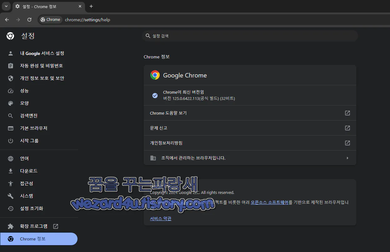 Google Chrome 125.0.6422.113