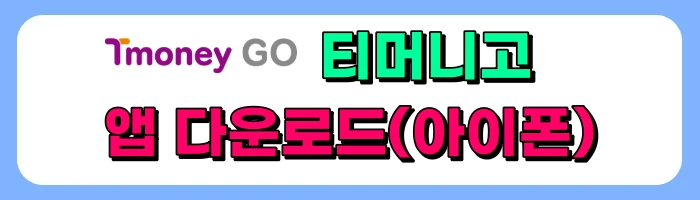 N8843(인천공항-구리-남양주 노선) 심야버스 노선 운행정보 및 예약방법, 가격 총정리