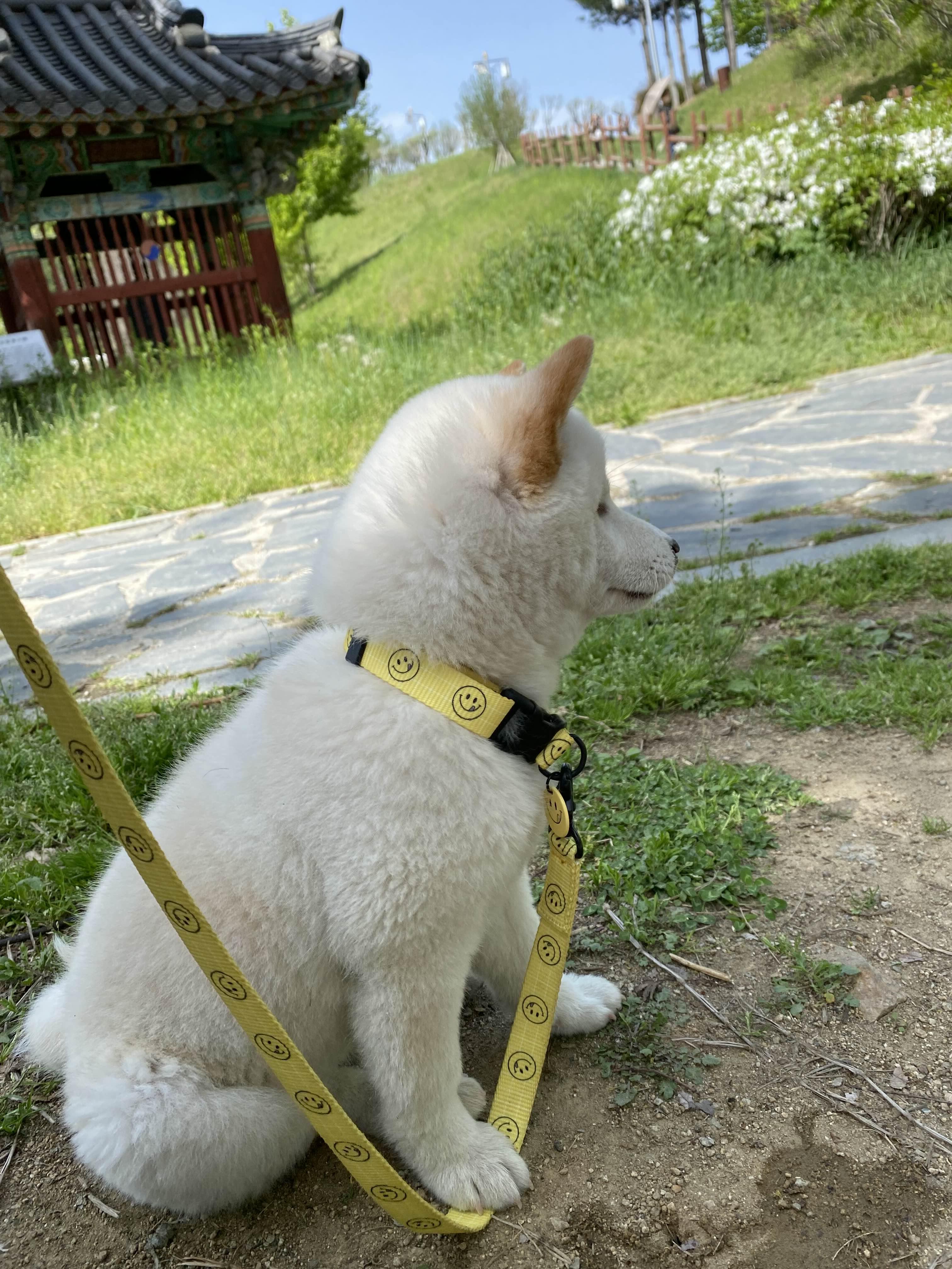 alt 태그