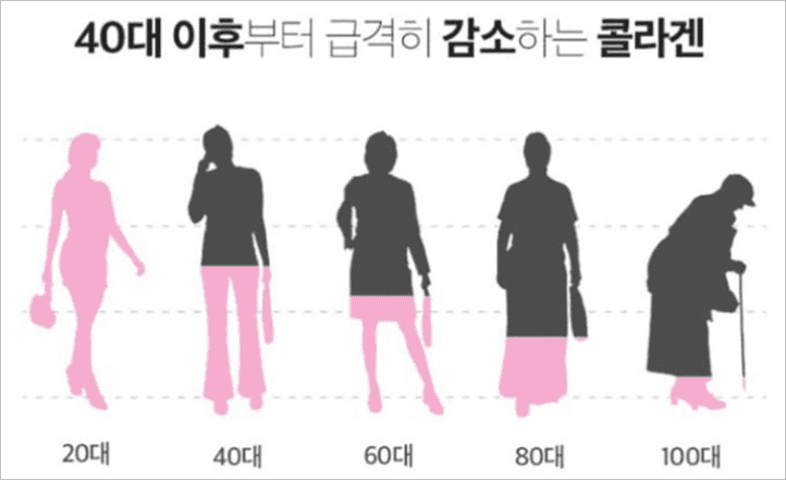 40대 이후 감소하는 콜라겐