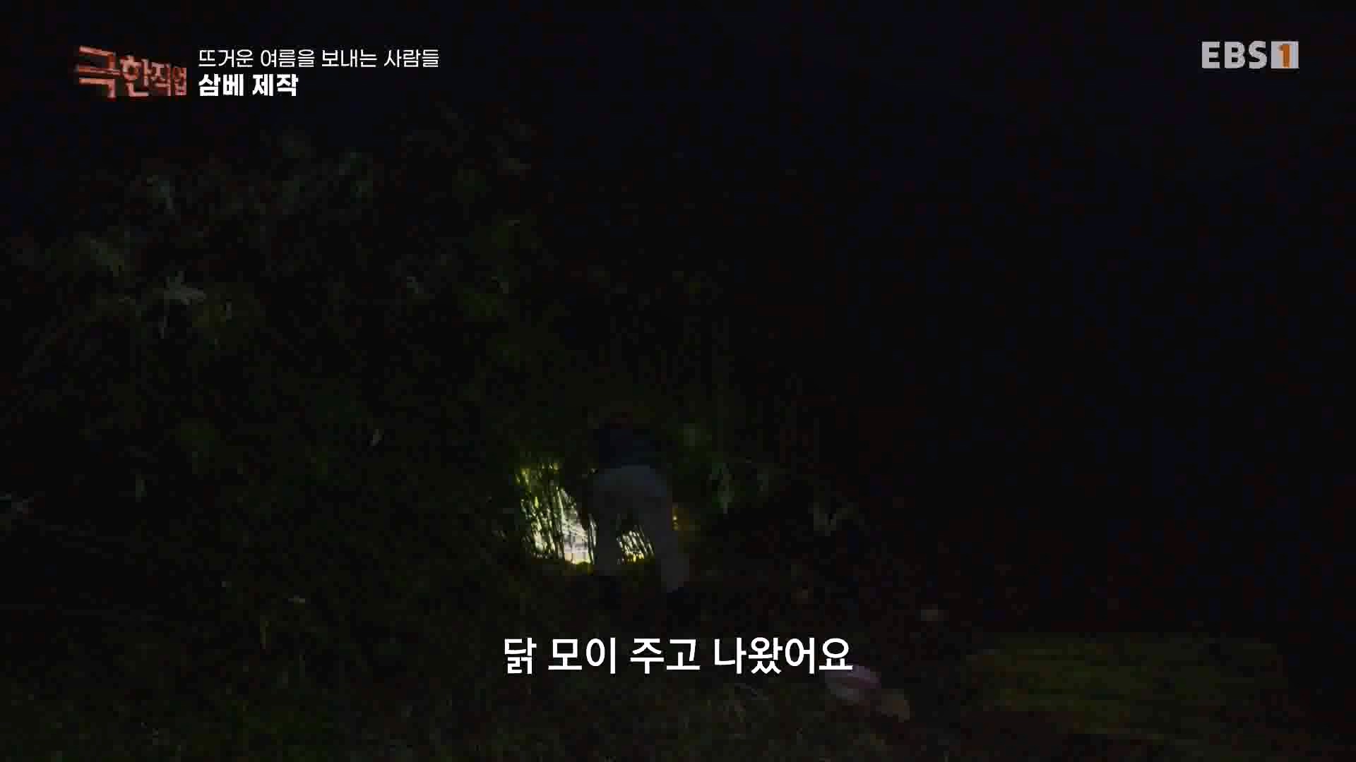 [극한 직업] 삼베 제작과 농어잡이 230812p.mp4_20230814_204002.972.jpg