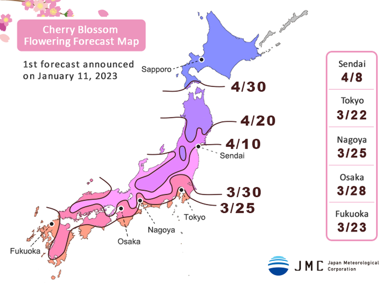 일본 벚꽃 개화 지도 2023년 기준