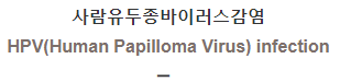  사람유두종바이러스감염 [HPV(Human Papilloma Virus) infection]