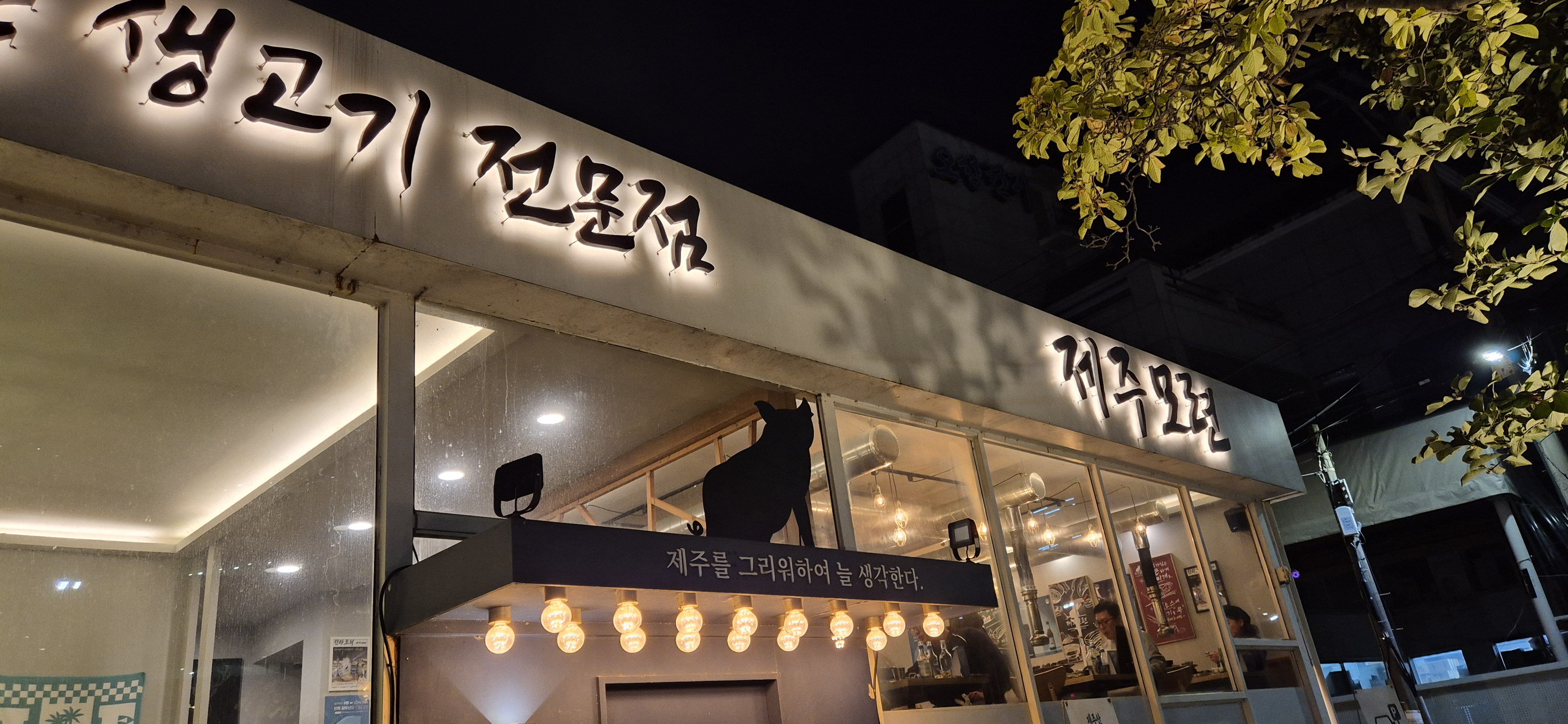 제주모련 이미지