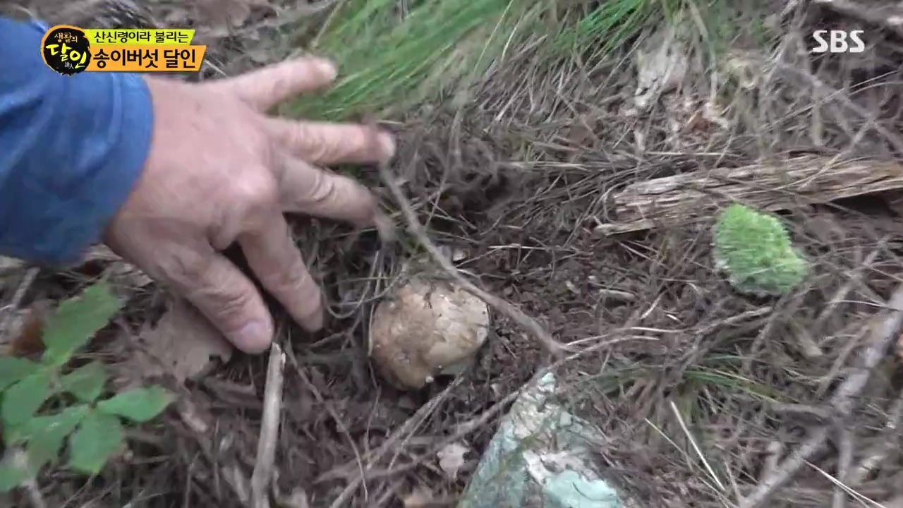 생활의 달인.E907.231010p-NEXT.mp4_20231010_202749.246.jpg