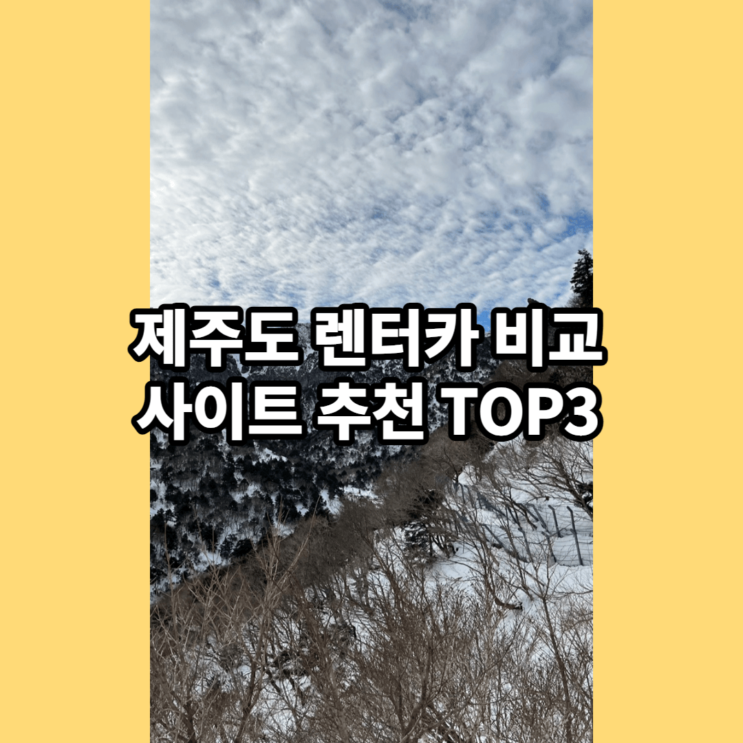  자주 이용하는 제주도 렌트카 비교 사이트 추천 Top3