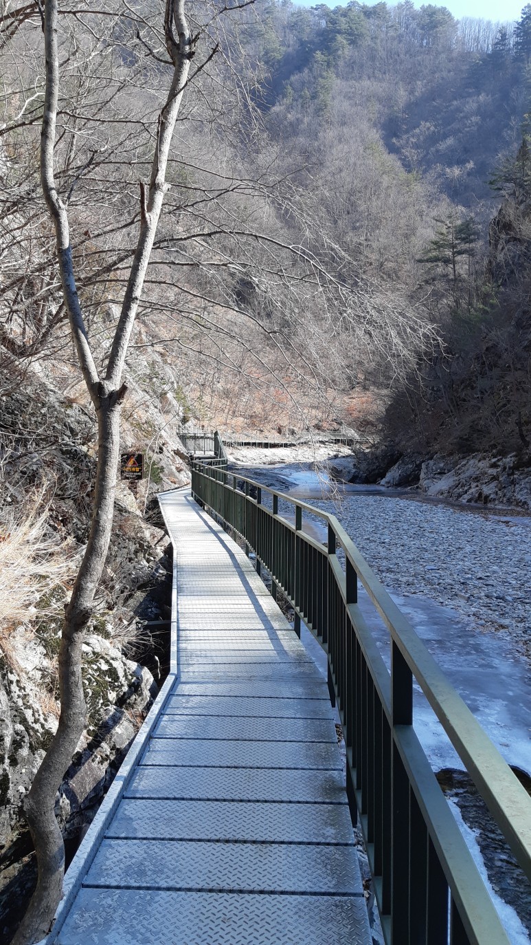 덕풍계곡-초곡용굴촛대바윗길-용화해수욕장- 20