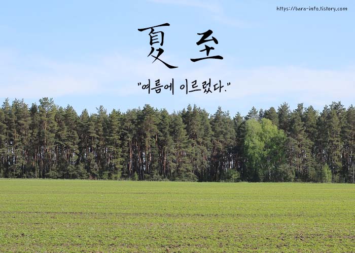 하지-인사말-이미지