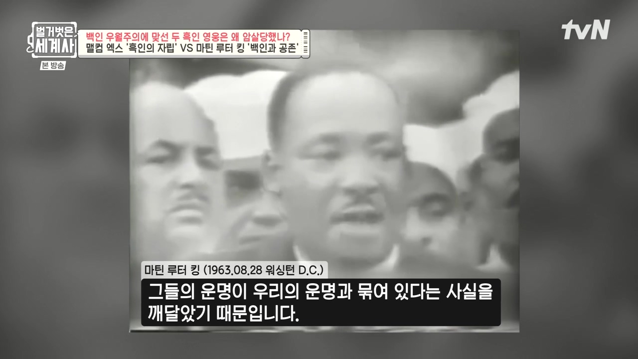벌거벗은 세계사.E118.230927p-NEXT.mp4_20240507_204714.321.jpg