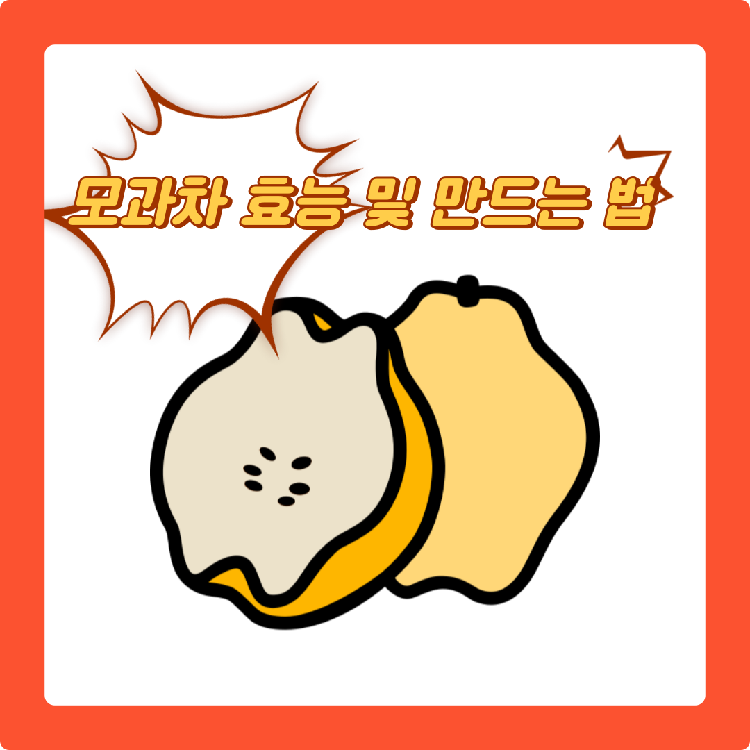  모과차 효능과 모과차 만드는법