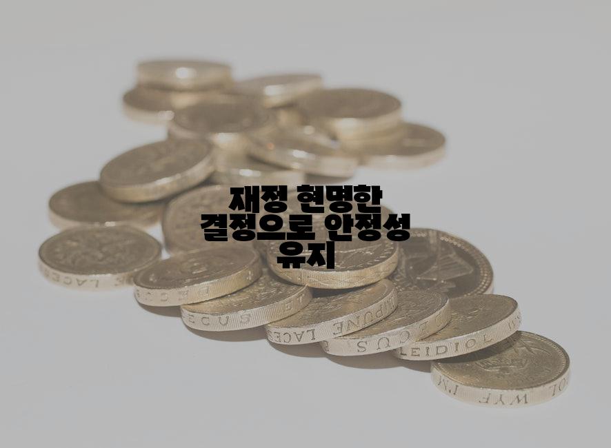 재정 현명한 결정으로 안정성 유지