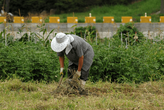 농업직불금-신청자격