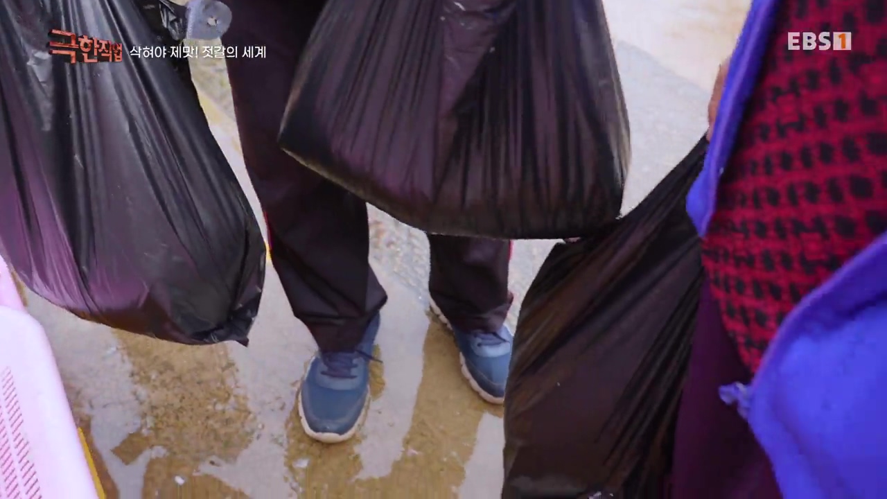 TV - 전 국민의 평생학교 EBS삭혀야 제맛! 젓갈의 세계.mp4_20231125_190745.389.jpg