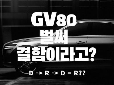  GV80 결함 발견