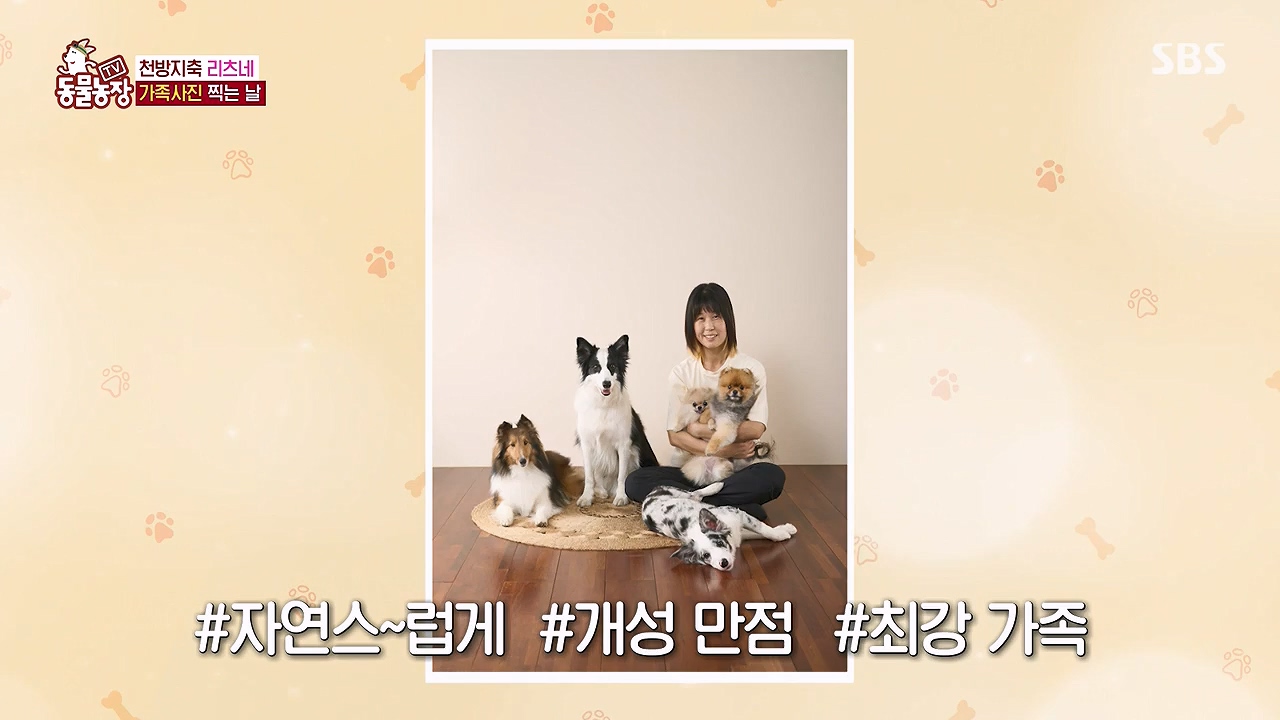 TV 동물농장.E1174.240603p-NEXT.mp4_20240602_155738.748.jpg