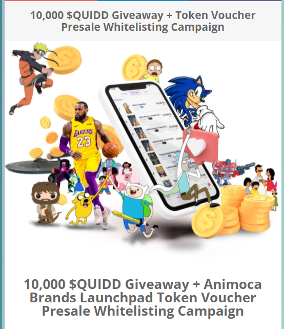  Quidd 토큰 화이트리스트 신청