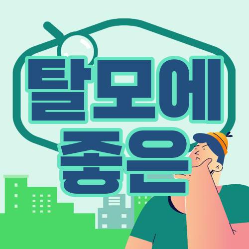탈모에 좋은