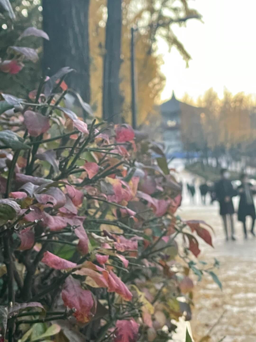  천상병 시인 <난 어린애가 좋다> / 어린이 대공원을 산책하며