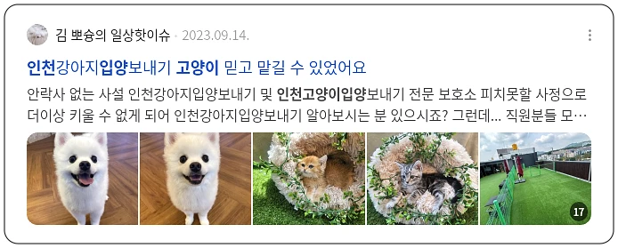 인천 고양이 입양_2_subsection