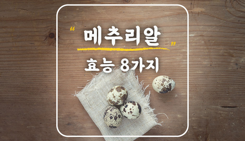  눈 건강에 좋은 메추리알의 효능 8가지