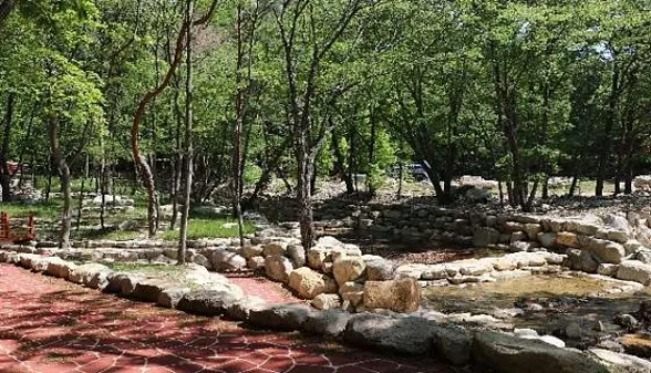 국립대운산치유의숲