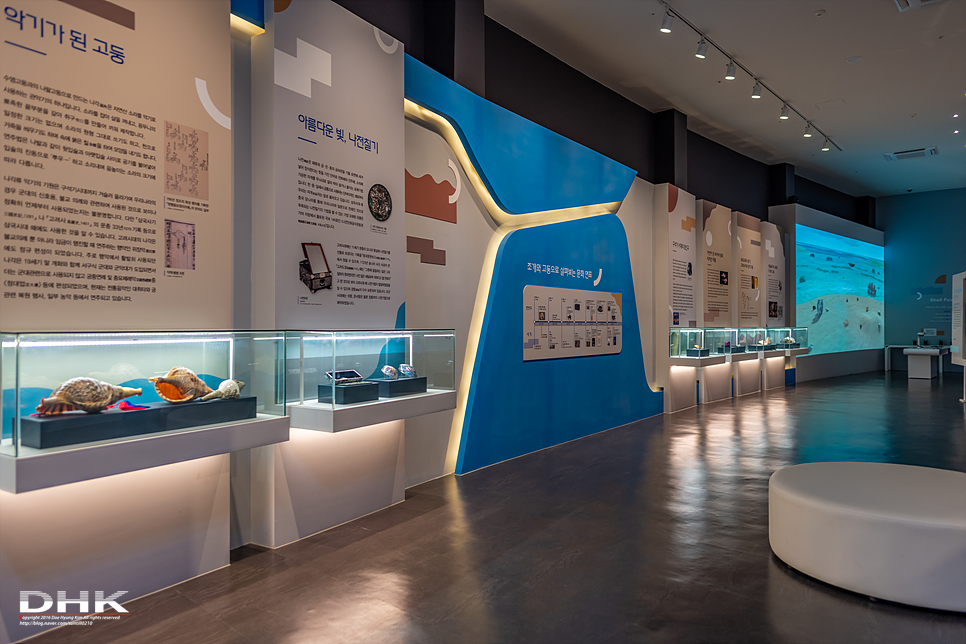 국내 1박2일 여름 여행 추천1박2일 서해 섬여행 신안 가볼만한곳 자은도 1004뮤지엄파크 세계조개박물관, 해바라기 14