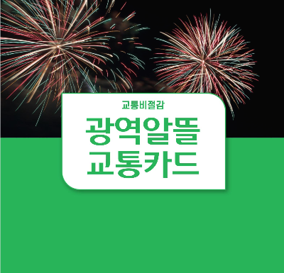  광역 알뜰 교통카드