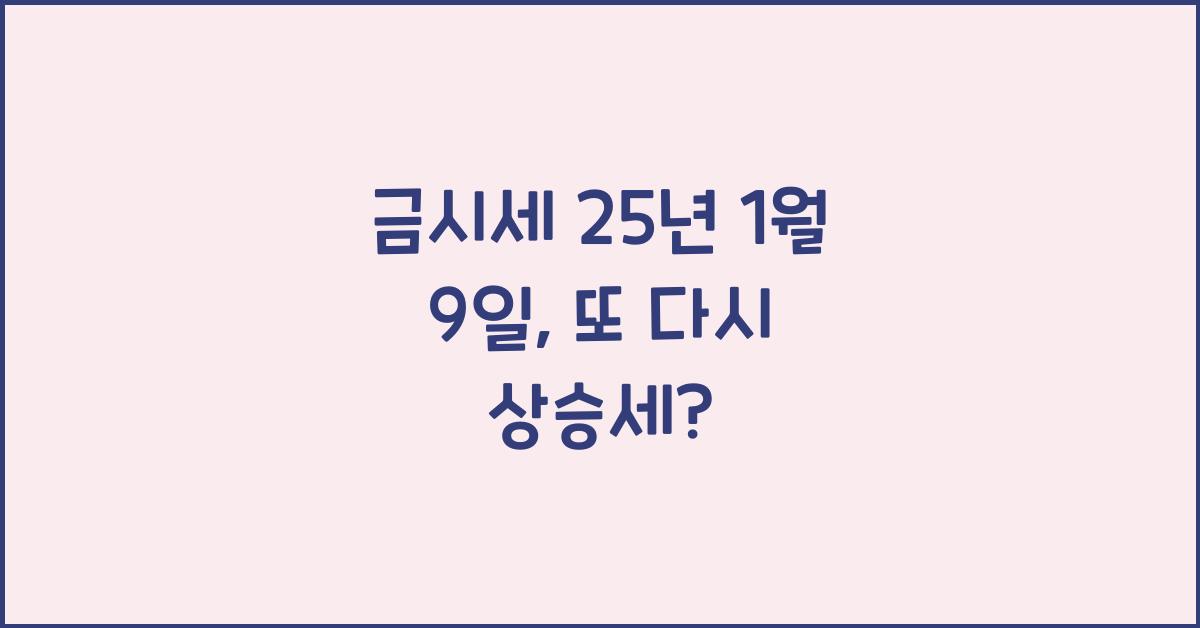 금시세 25년 1월 9일