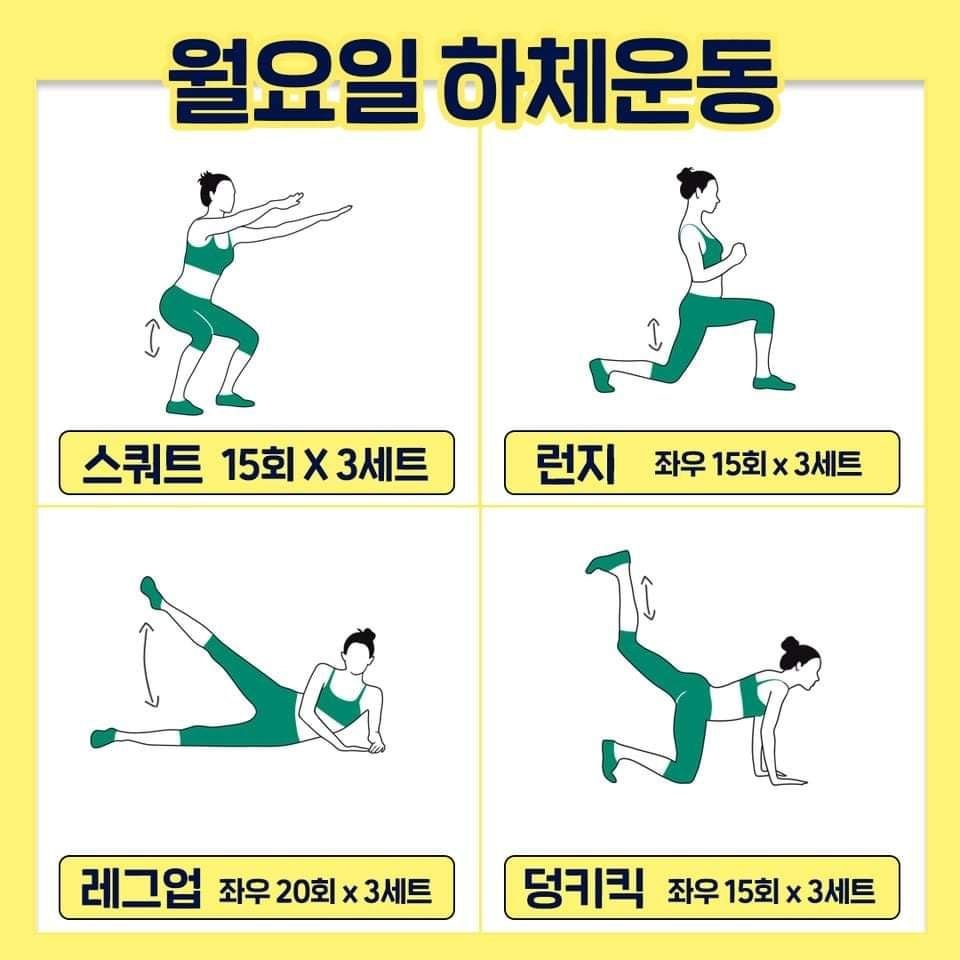 군살 빼주는 일주일 요일별 운동 루틴.jpg