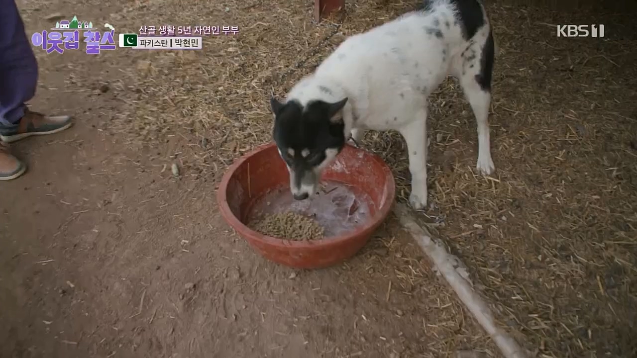 이웃집 찰스.E381.230405p.H264-F1RST.mp4_20230405_200831.060.jpg