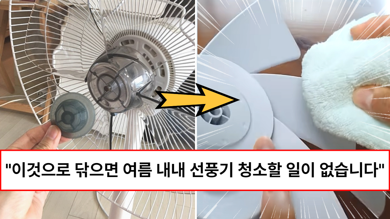 “선풍기 청소 5분만에 깔끔하게 끝납니다” 여름내내 청소안해도 되는 선풍기 청소 방법 (+먼지 안붙게 하는 방법) “선풍기 청소 5분만에 깔끔하게 끝납니다” 여름내내 청소안해도 되는 선풍기 청소 방법 (+먼지 안붙게 하는 방법)