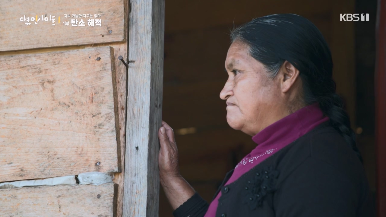 다큐 인사이트.E177.240112p-NEXT.mp4_20240113_155837.811.jpg