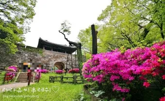 경기도 봄 여행지 추천 10곳 완벽 코스 가이드북_13