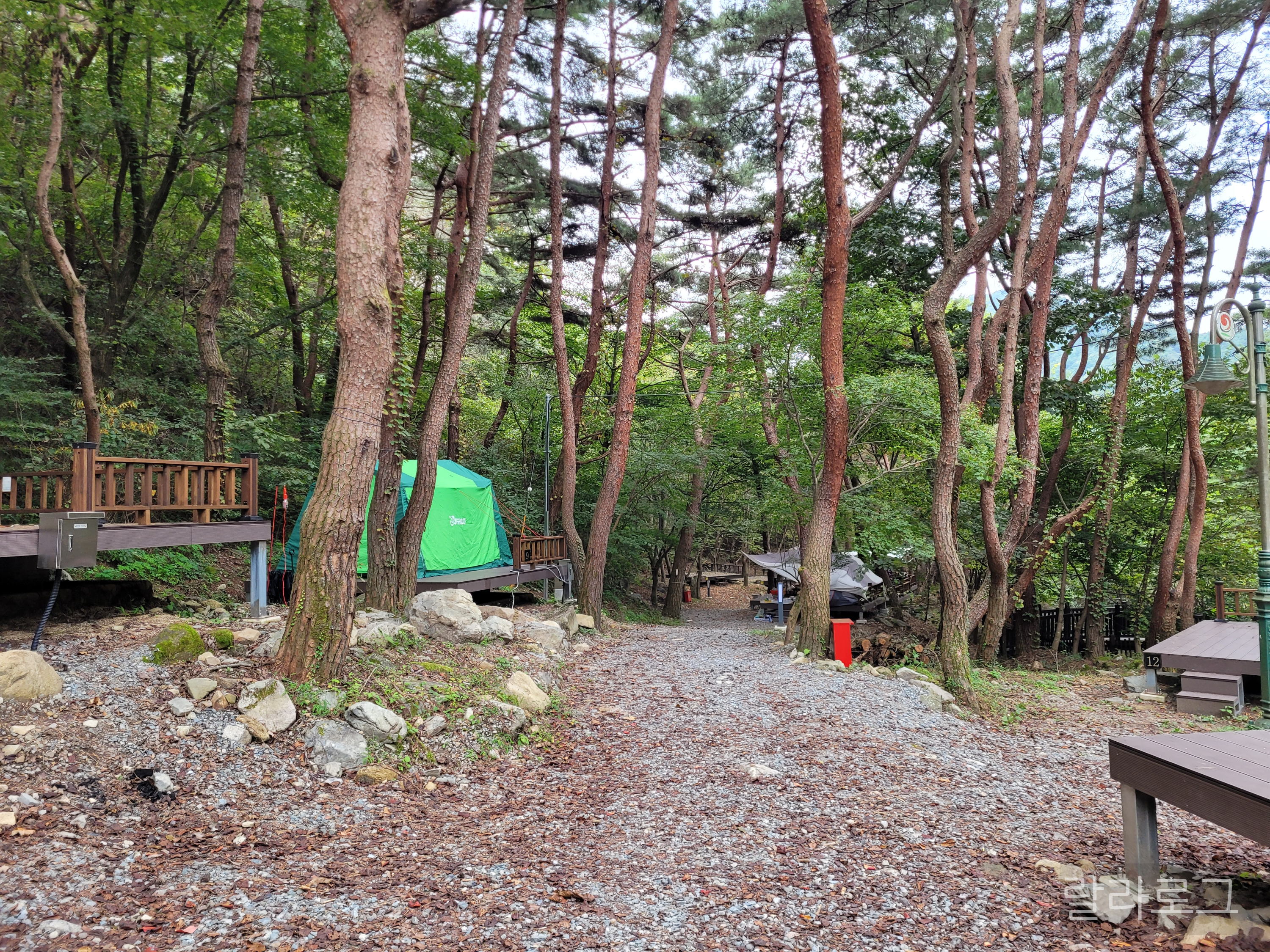 오도산자연휴양림-야영장