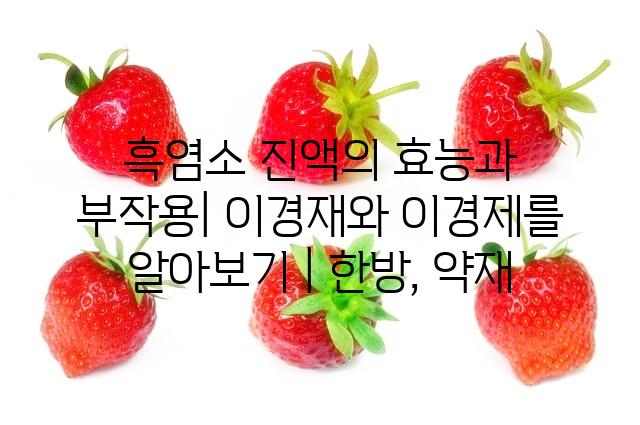 랜덤219
