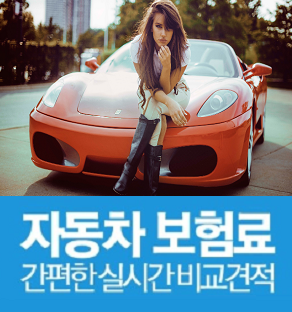  자동차보험견적비교사이트 메리츠자동차보험 롯데자동차보험 계산OK