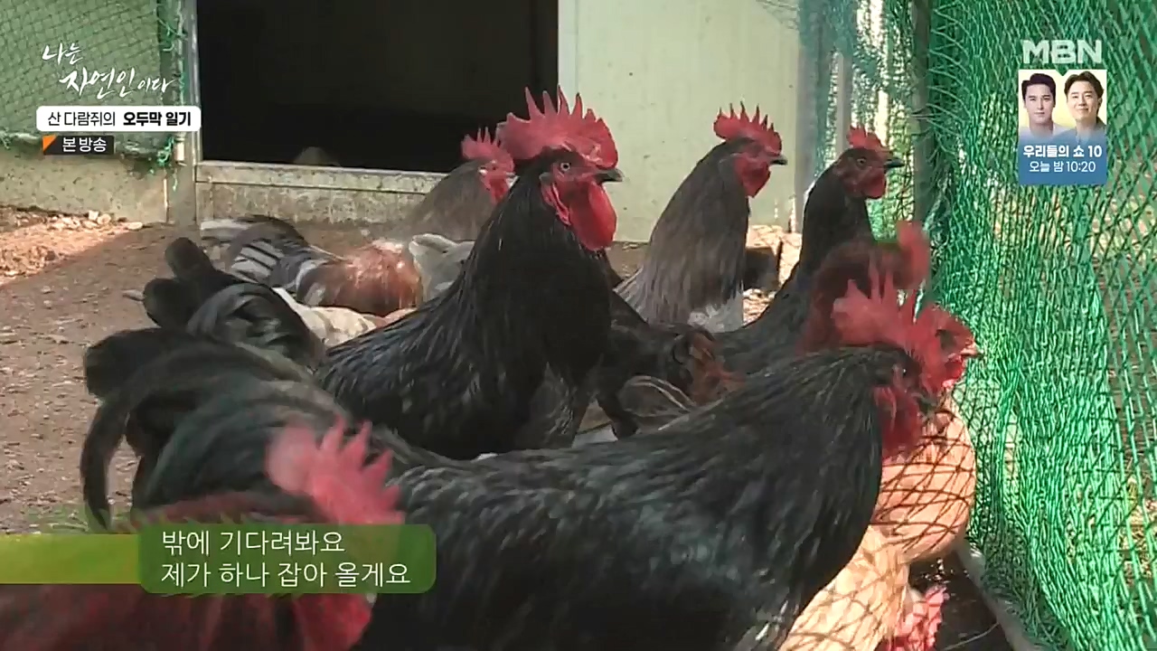 나는 자연인이다.E525.221027p-NEXT.mp4_20221027_192751.030.jpg