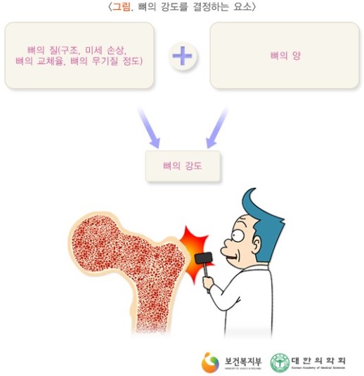  마그네슘, 컬트레이트 칼슘제, 제산제, 폐경, 임산부, 골다공증, 당뇨, 고혈압, 비타민D) 담비약사 위장약을 먹으면 칼슘 흡수가 안 된다구요? (위산,
