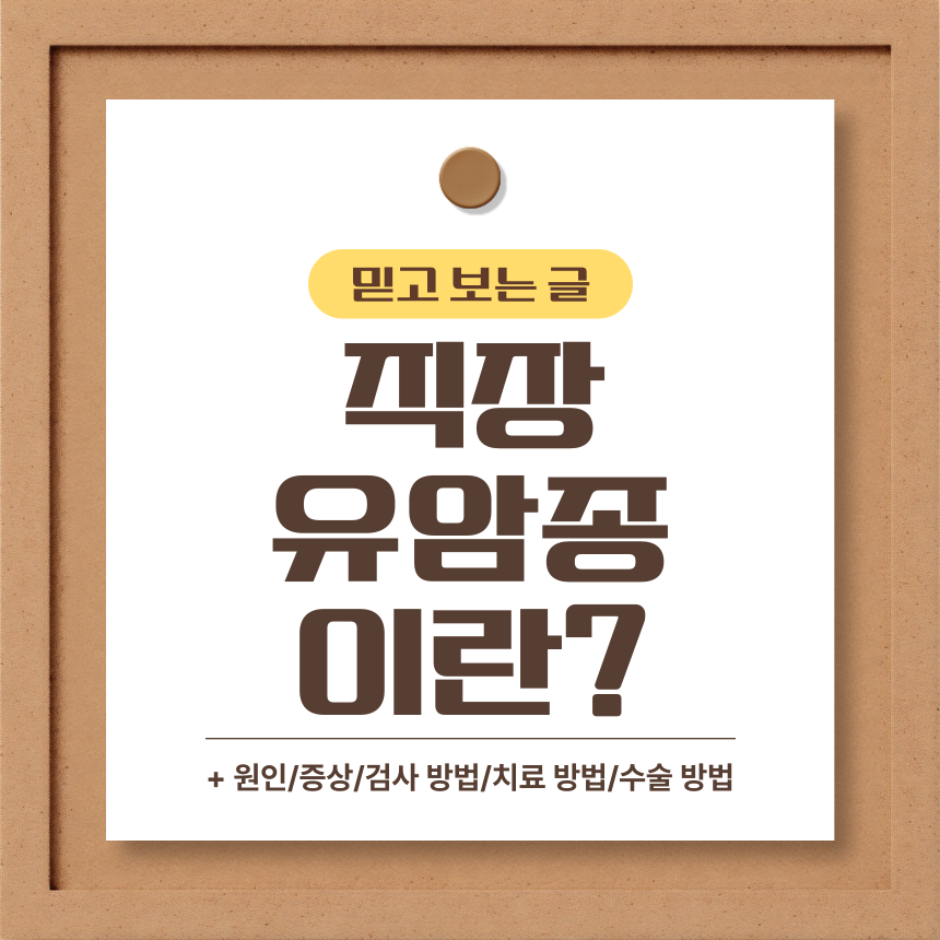  직장 유암종 이란?