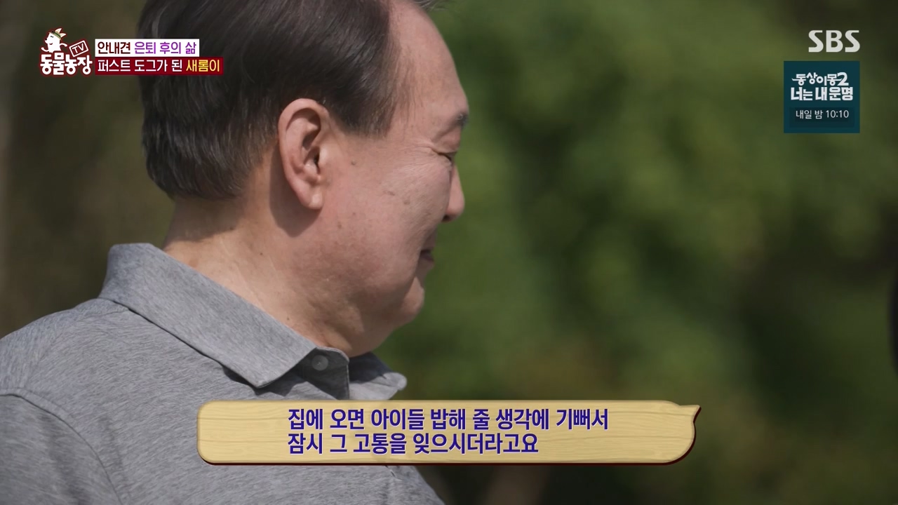 TV 동물농장.E1122.230529p-NEXT.mp4_20230528_170259.762.jpg