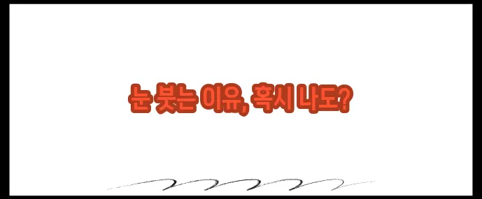 눈이 붓는 증상 원인과 대처법 (+사진으로 이해)