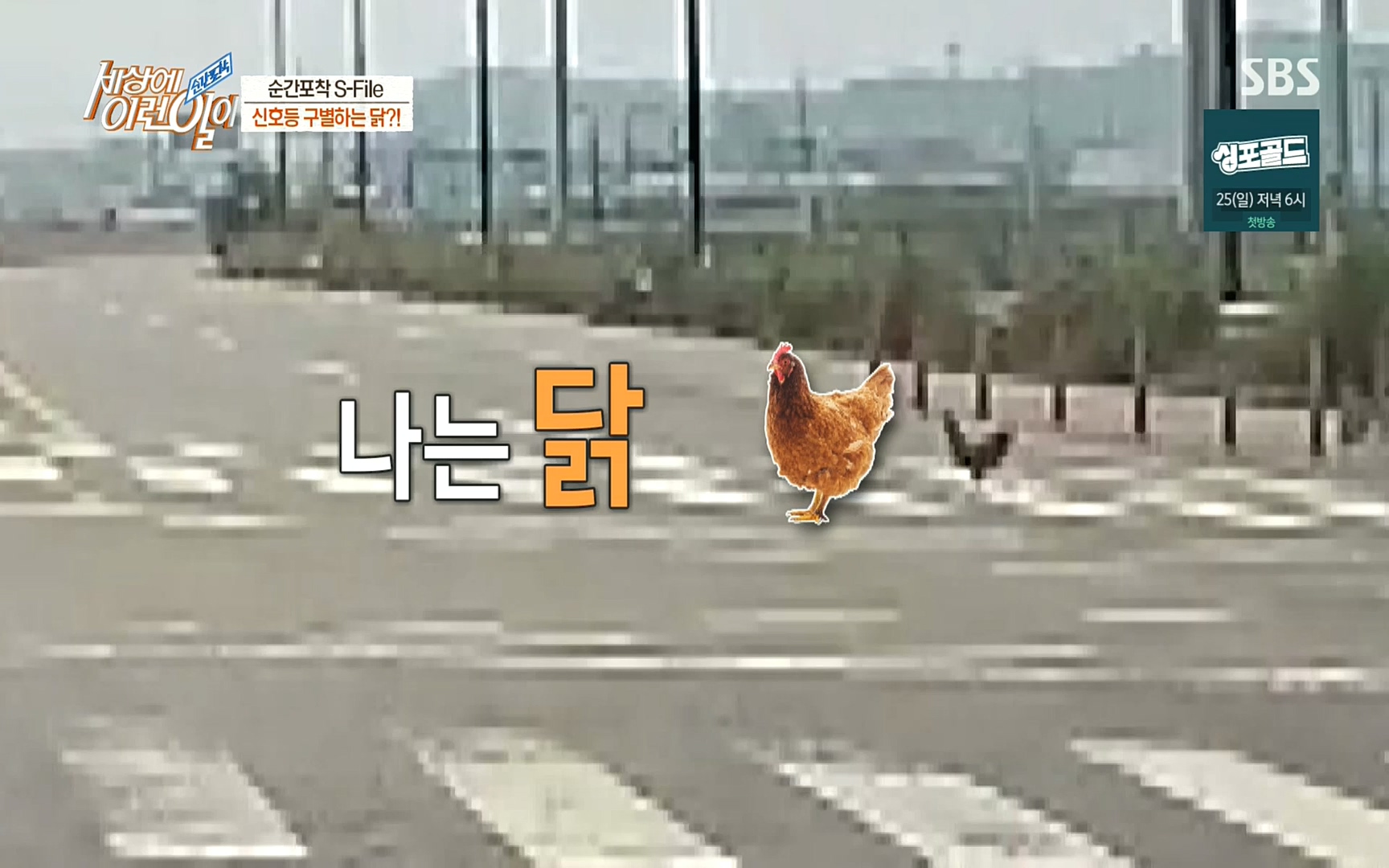 순간포착 세상에 이런일이.E1197p.H264-F1RST.mp4_20220914_202406.296.jpg