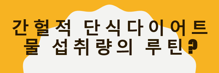  간헐적 단식 다이어트 루틴 물 섭취량