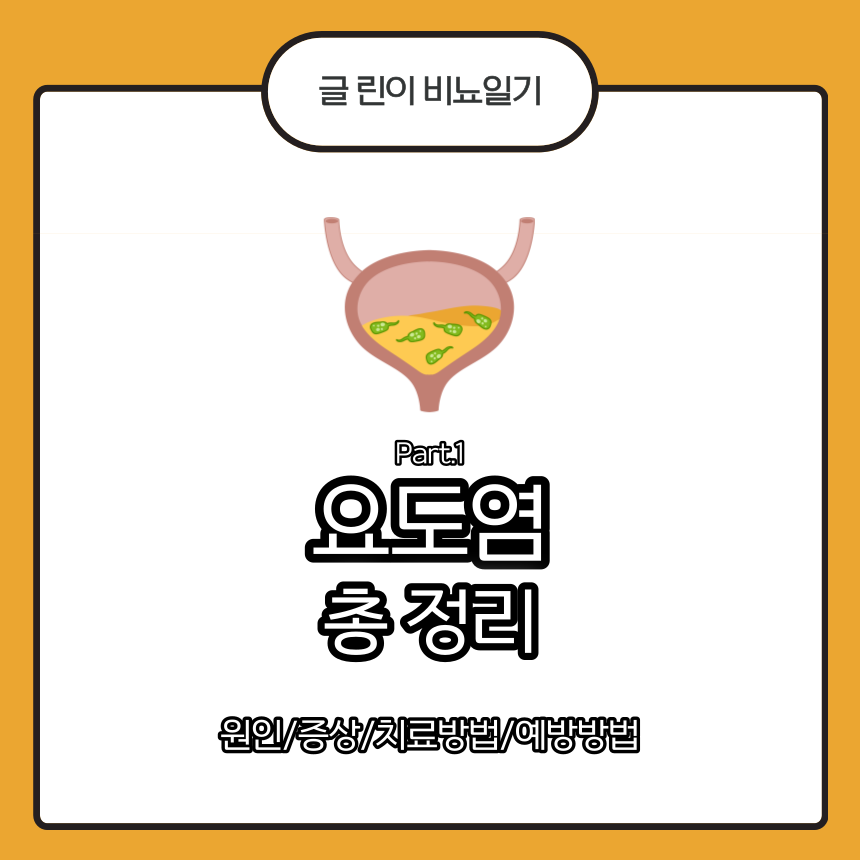  요도염 총 정리 Part.1 : 원인/증상/치료방법/예방방법
