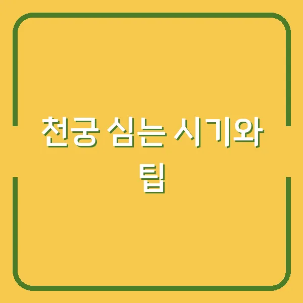 천궁 심는 시기와 팁