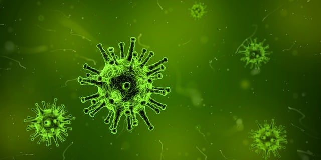 바이러스의 사진
