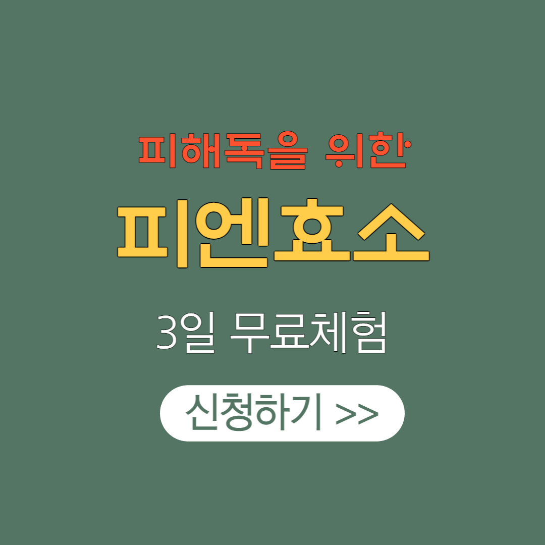 피앤효소