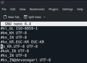 nano 편집기 ko 한글 설정시 #제거